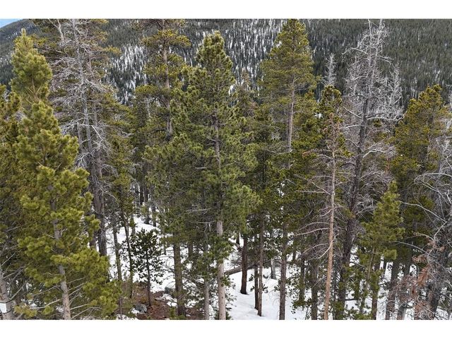 156 Vista Rd, Idaho Springs, CO 80452