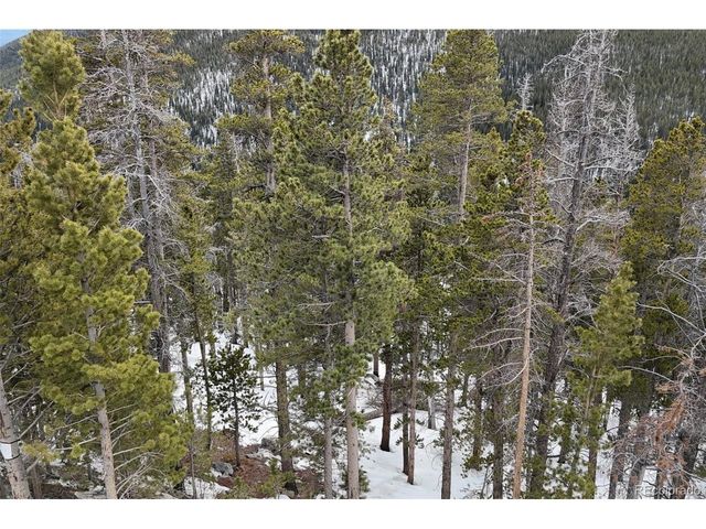156 Vista Rd, Idaho Springs, CO 80452