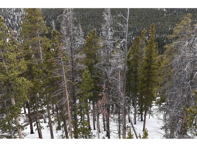 156 Vista Rd, Idaho Springs, CO 80452