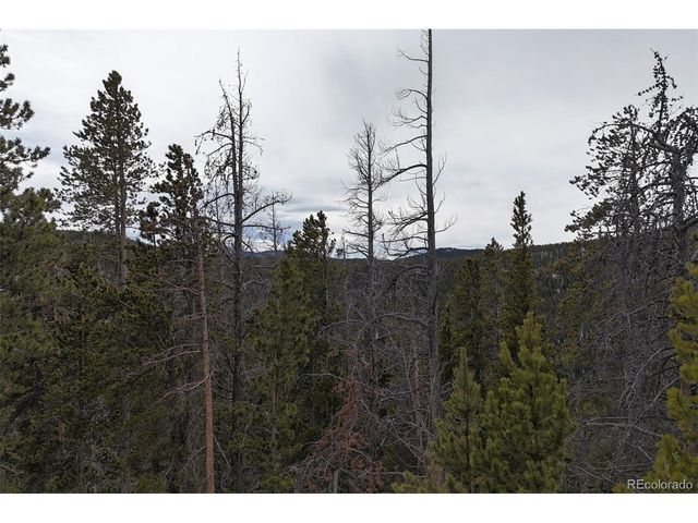 156 Vista Rd, Idaho Springs, CO 80452
