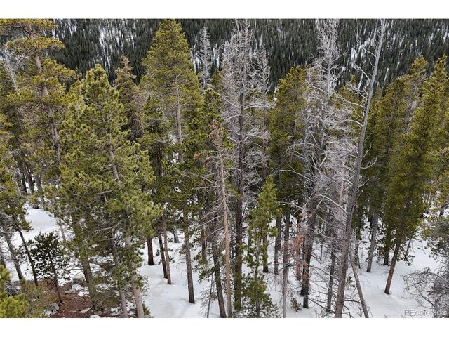 156 Vista Rd, Idaho Springs, CO 80452