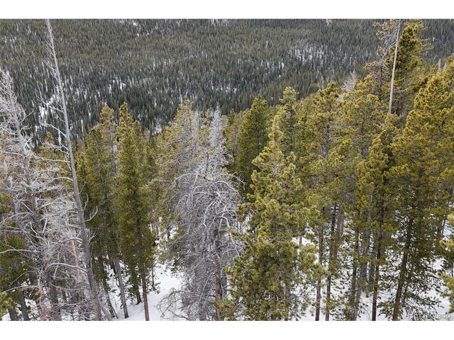 156 Vista Rd, Idaho Springs, CO 80452