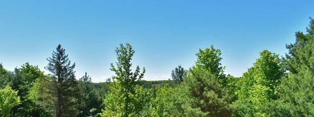 570 Michael Avenue, Traverse City, MI 49685