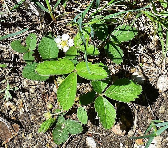 570 Michael Avenue, Traverse City, MI 49685