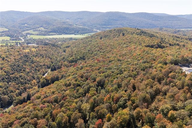 815 Covert Hollow Road, Hamden, NY 13782