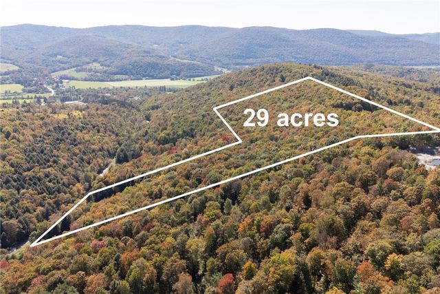 815 Covert Hollow Road, Hamden, NY 13782