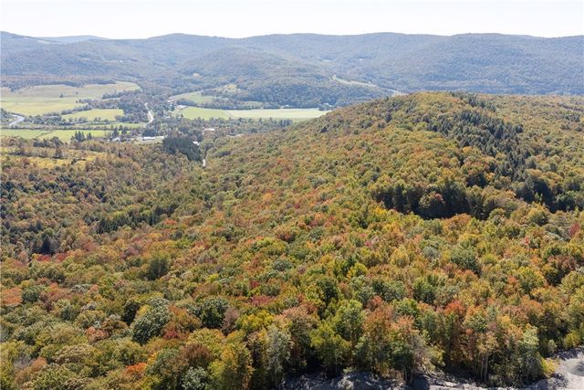 815 Covert Hollow Road, Hamden, NY 13782