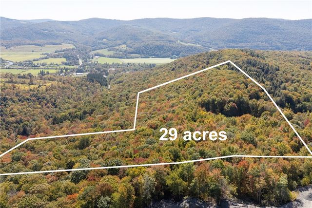 815 Covert Hollow Road, Hamden, NY 13782