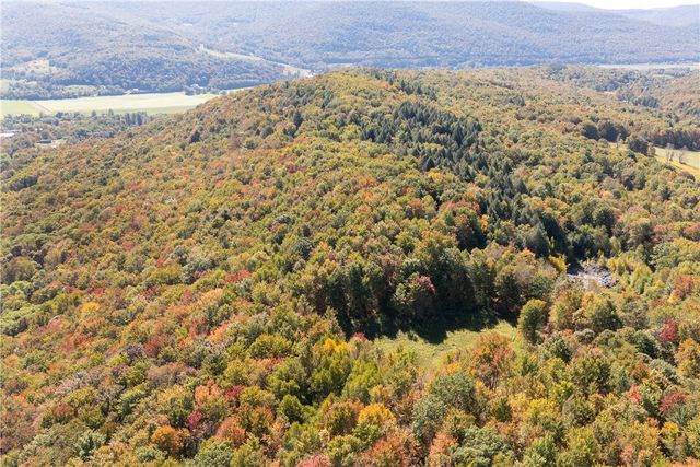 815 Covert Hollow Road, Hamden, NY 13782