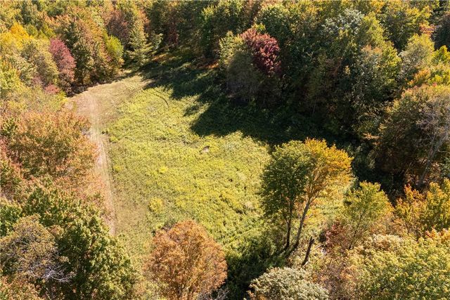 815 Covert Hollow Road, Hamden, NY 13782