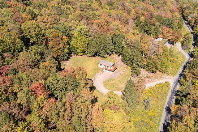 815 Covert Hollow Road, Hamden, NY 13782