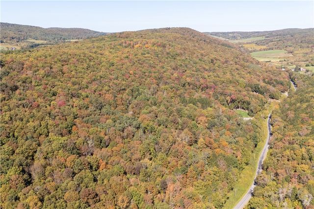 815 Covert Hollow Road, Hamden, NY 13782