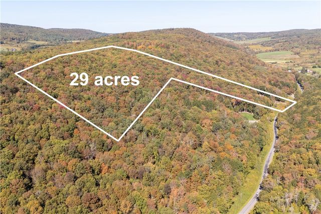 815 Covert Hollow Road, Hamden, NY 13782