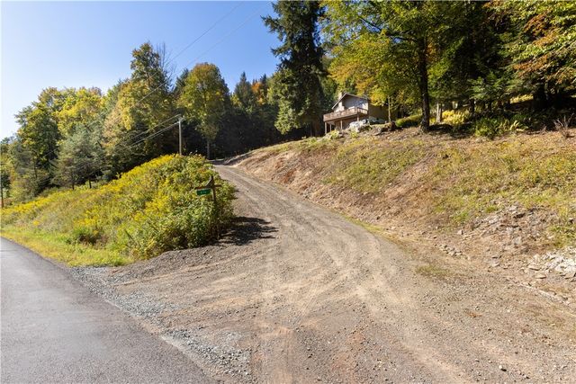 815 Covert Hollow Road, Hamden, NY 13782