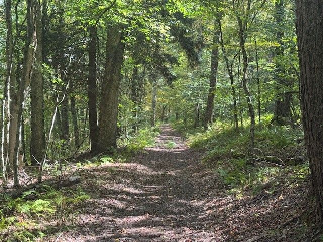 815 Covert Hollow Road, Hamden, NY 13782