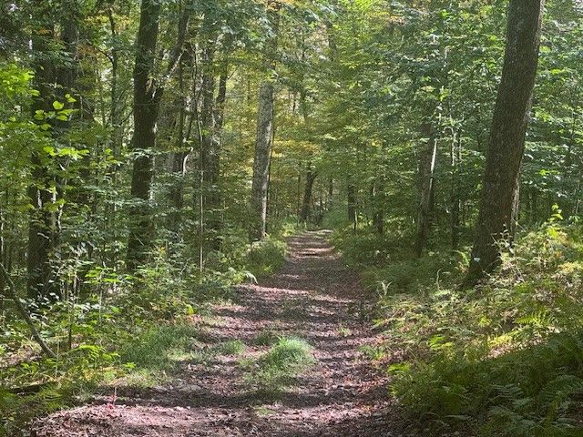 815 Covert Hollow Road, Hamden, NY 13782