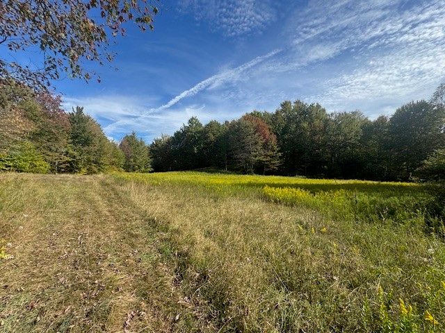 815 Covert Hollow Road, Hamden, NY 13782