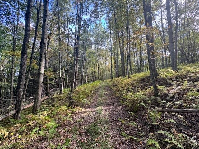 815 Covert Hollow Road, Hamden, NY 13782