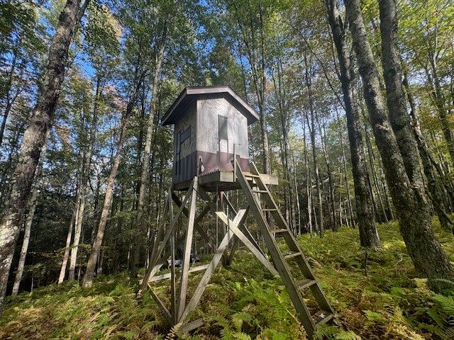 815 Covert Hollow Road, Hamden, NY 13782