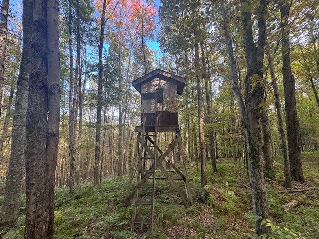 815 Covert Hollow Road, Hamden, NY 13782