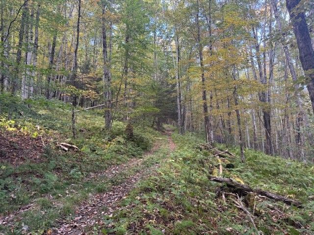 815 Covert Hollow Road, Hamden, NY 13782