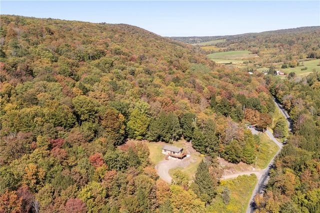 815 Covert Hollow Road, Hamden, NY 13782