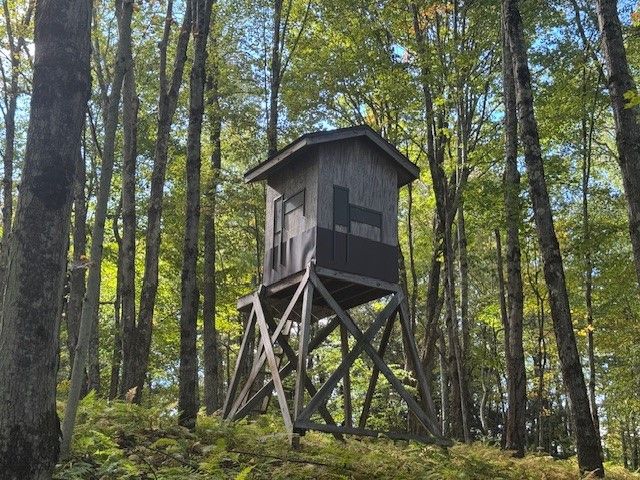 815 Covert Hollow Road, Hamden, NY 13782