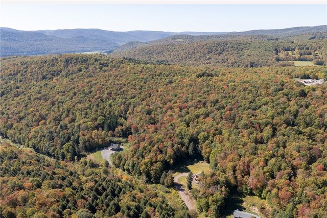 815 Covert Hollow Road, Hamden, NY 13782