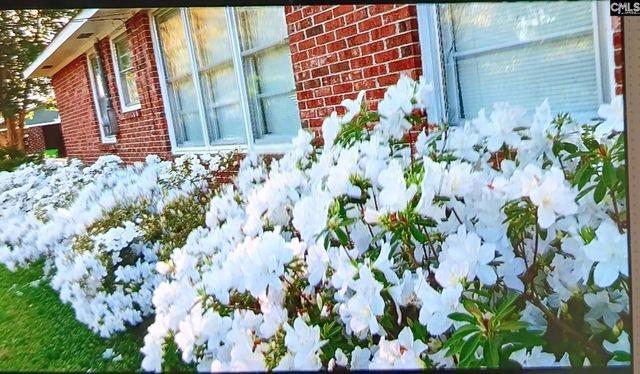 1515 Rushmore Road, Columbia, SC 29210