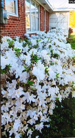 1515 Rushmore Road, Columbia, SC 29210