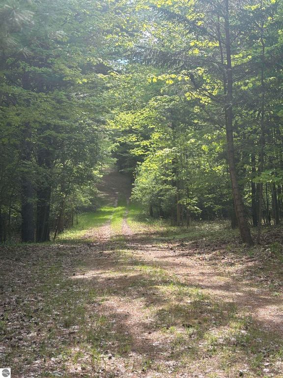 Image 11 of property listing at 0 US-31, Kewadin, MI 49648