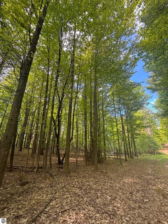 Image 16 of property listing at 0 US-31, Kewadin, MI 49648