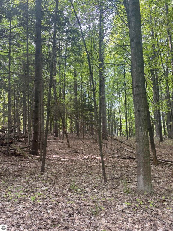 Image 17 of property listing at 0 US-31, Kewadin, MI 49648