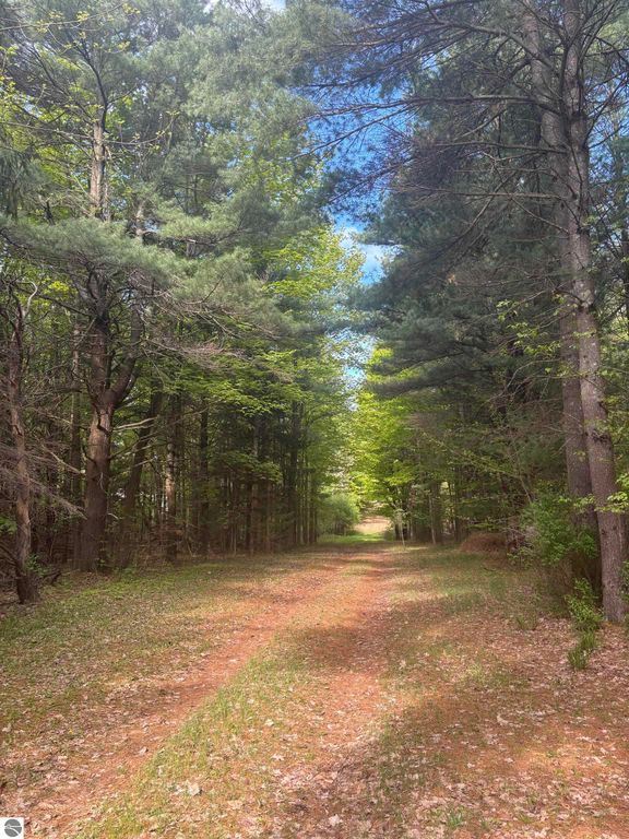 Image 4 of property listing at 0 US-31, Kewadin, MI 49648