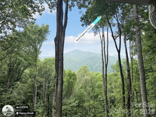 245 Greenview Drive, Maggie Valley, NC 28751