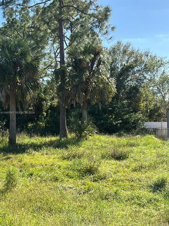 803 W 6th St, Lehigh Acres, FL 33792