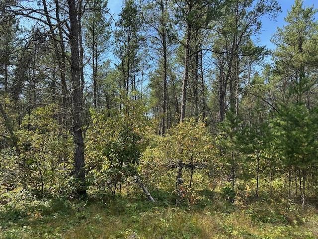 36.34 Ac Retirement Lane, Necedah, WI 54646