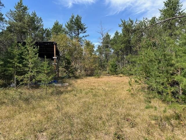 36.34 Ac Retirement Lane, Necedah, WI 54646
