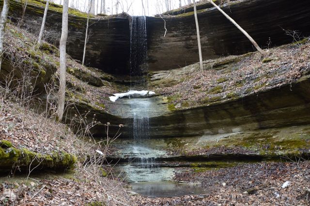 351 Hurricane Creek Rd, Linden, TN 37096