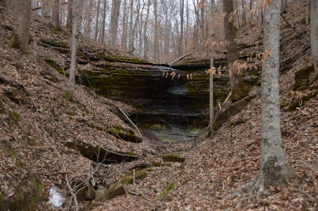 351 Hurricane Creek Rd, Linden, TN 37096