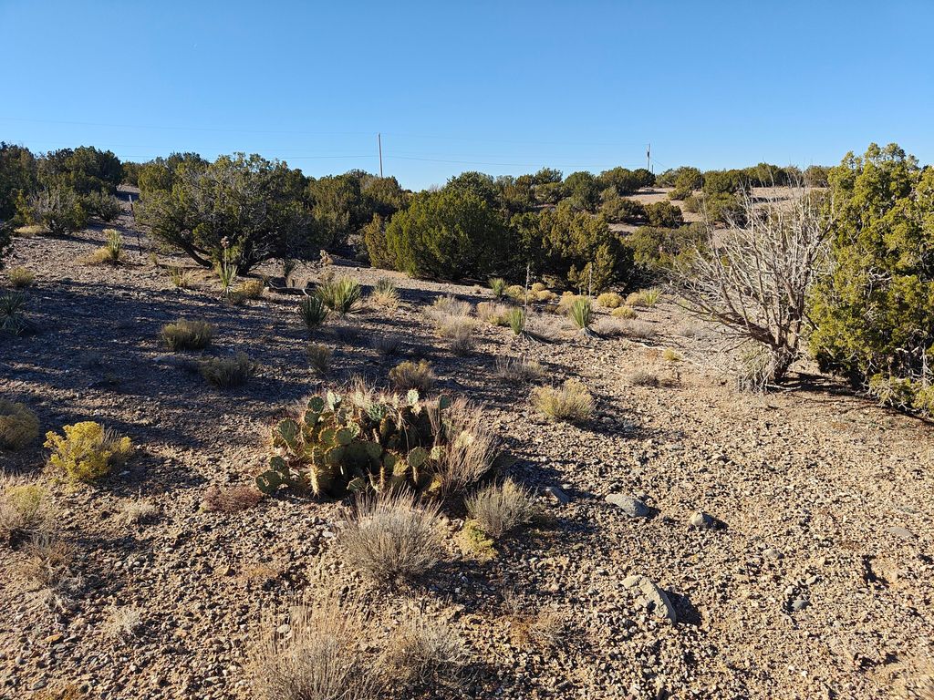 74 DESERT MOUNTAIN Road, Placitas, NM 87043