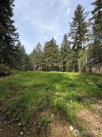 19205 30th Street SW, Lakebay, WA 98349