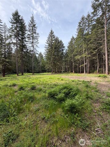 19205 30th Street SW, Lakebay, WA 98349