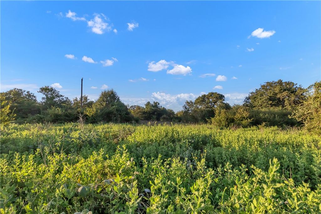 0000 CR355 loop & CR356, Gause, TX 77857 — photo 3