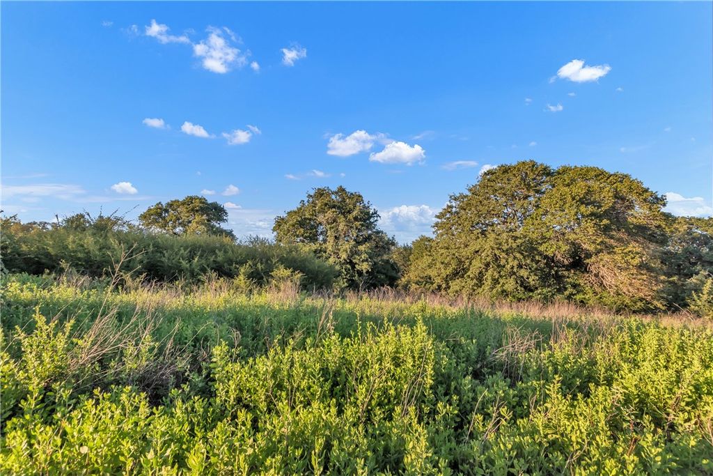0000 CR355 loop & CR356, Gause, TX 77857 — photo 4