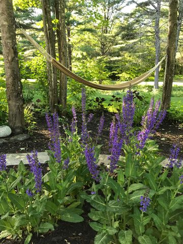 208 Benjamin Wentworth Drive, Tamworth, NH 03817
