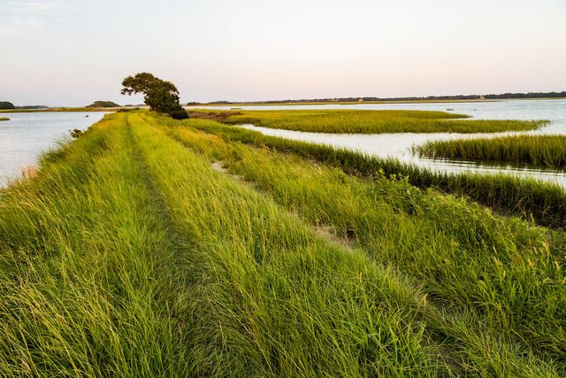 6005 Park Ridge Way, Johns Island, SC 29455