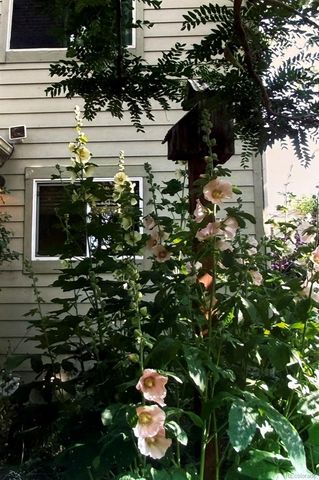 6078 Ulysses Avenue, Firestone, CO 80504