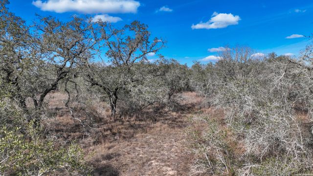 20 Clear Lake Loop, Poteet, TX 78065