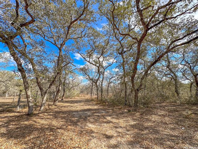 20 Clear Lake Loop, Poteet, TX 78065